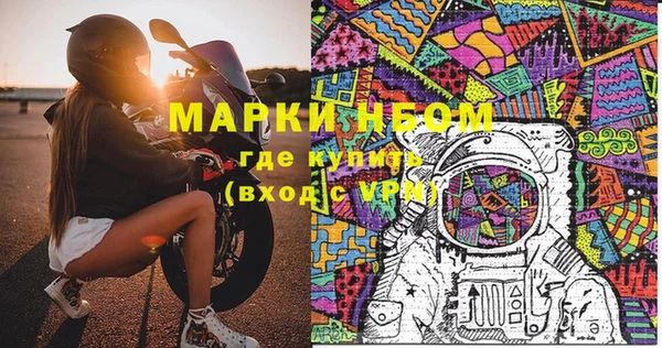 шишки Богородицк