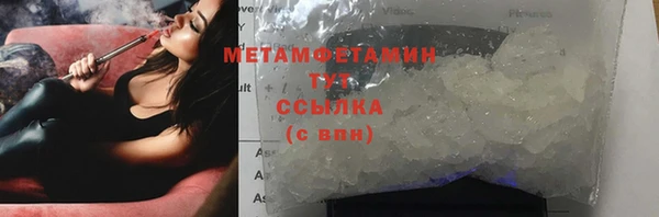 шишки Богородицк