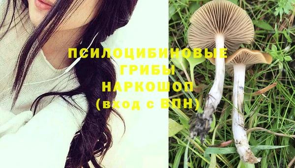 стафф Беломорск